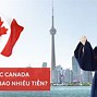 Các Ngành Học Của Canada 2023 Và 2024 Result Of