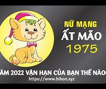 Xem Tử Vi Tuổi Mão 1975 Nữ Mạng